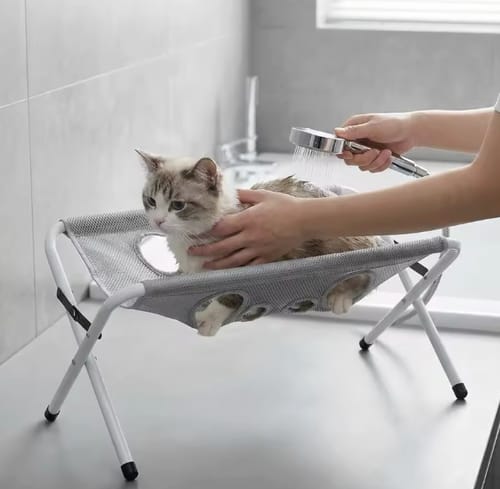 Baño, secado, cepillado y corte de uñas sin peleas.